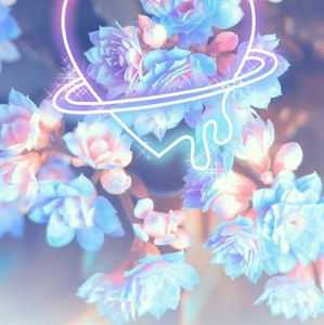 Meet your Posher, Madina